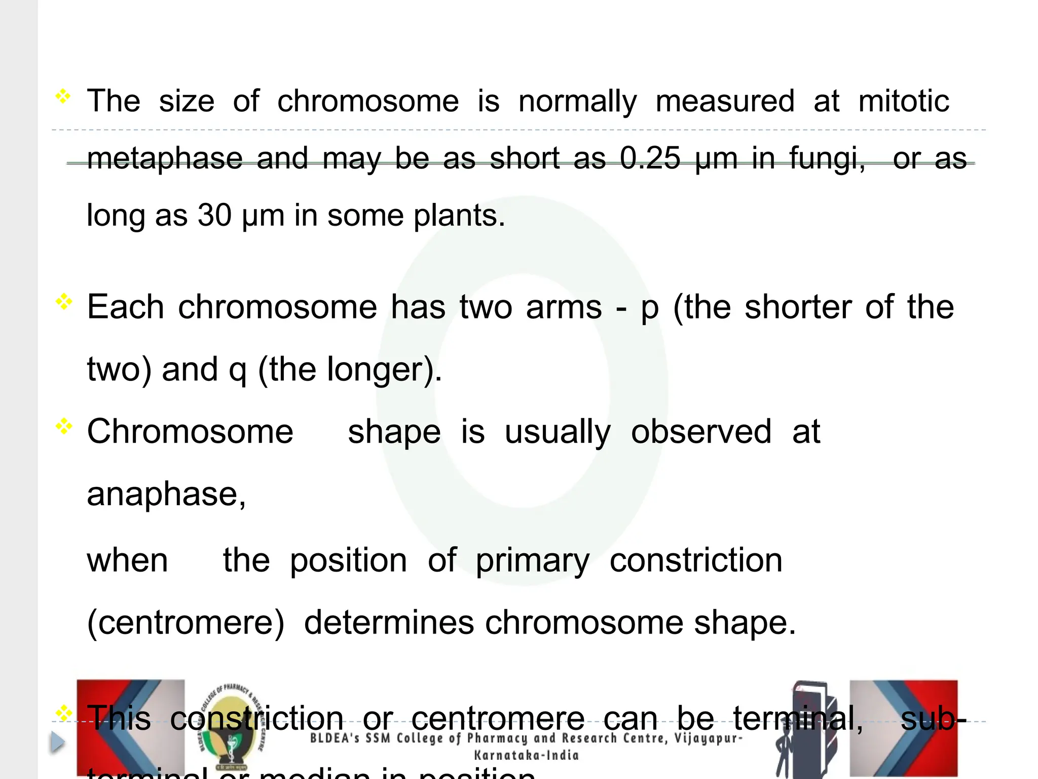 The size of chromosome is normally measured at mitotic
metaphase and may be as short as 0.25 µm in fungi, or as
long as 30 µm in some plants.
 Each chromosome has two arms - p (the shorter of the
two) and q (the longer).
 Chromosome shape is usually observed at
anaphase,
when the position of primary constriction
(centromere) determines chromosome shape.
 This constriction or centromere can be terminal, sub-
 