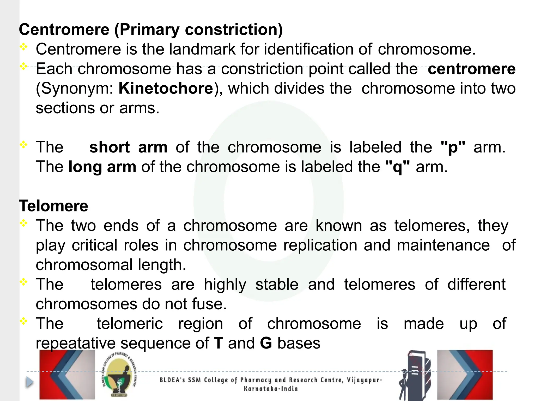Centromere (Primary constriction)
 Centromere is the landmark for identification of chromosome.
 Each chromosome has a constriction point called the centromere
(Synonym: Kinetochore), which divides the chromosome into two
sections or arms.
 The short arm of the chromosome is labeled the "p" arm.
The long arm of the chromosome is labeled the "q" arm.
Telomere
 The two ends of a chromosome are known as telomeres, they
play critical roles in chromosome replication and maintenance of
chromosomal length.
 The telomeres are highly stable and telomeres of different
chromosomes do not fuse.
 The telomeric region of chromosome is made up of
repeatative sequence of T and G bases
 