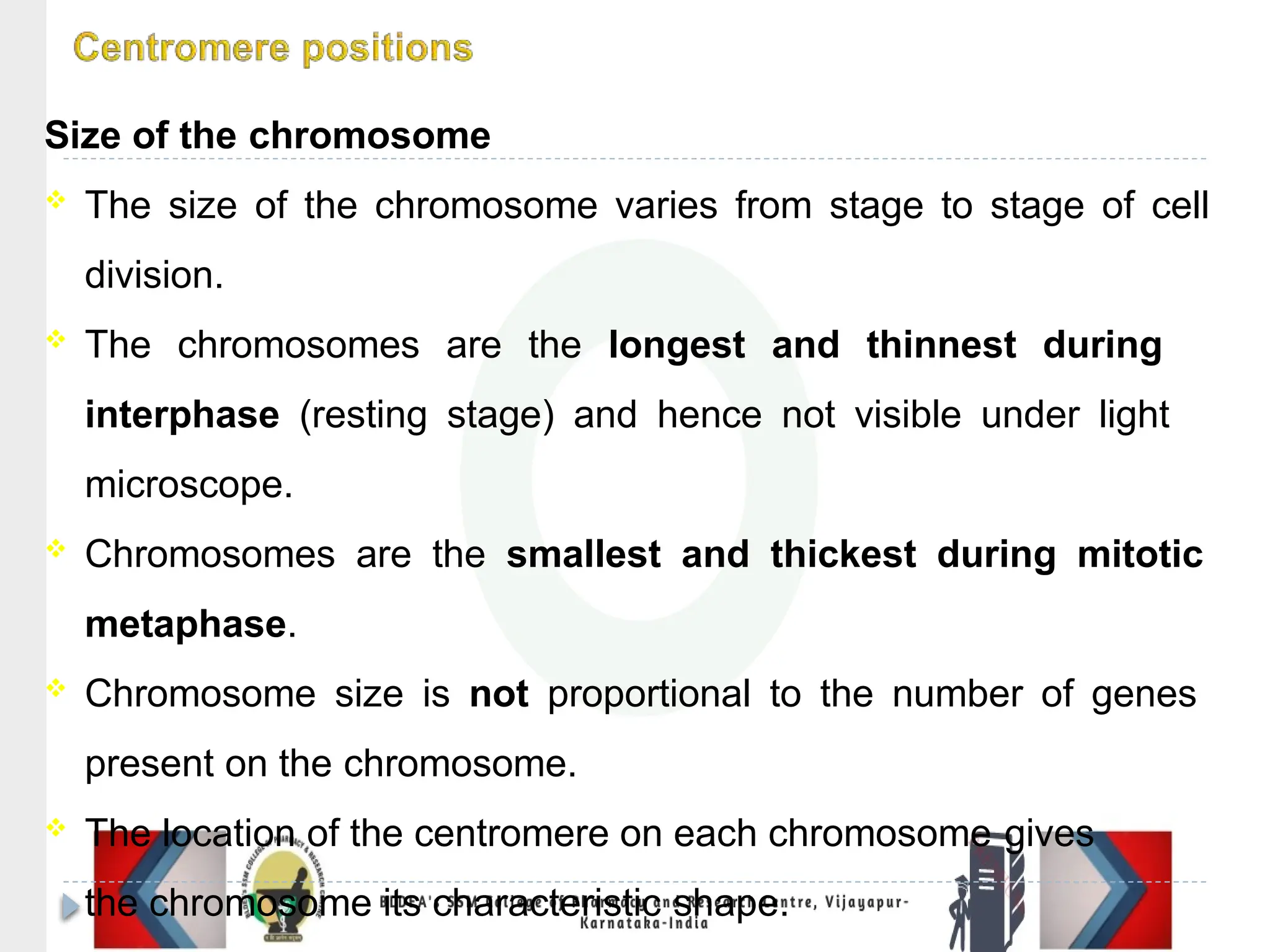 Size of the chromosome
 The size of the chromosome varies from stage to stage of cell
division.
 The chromosomes are the longest and thinnest during
interphase (resting stage) and hence not visible under light
microscope.
 Chromosomes are the smallest and thickest during mitotic
metaphase.
 Chromosome size is not proportional to the number of genes
present on the chromosome.
 The location of the centromere on each chromosome gives
the chromosome its characteristic shape.
 