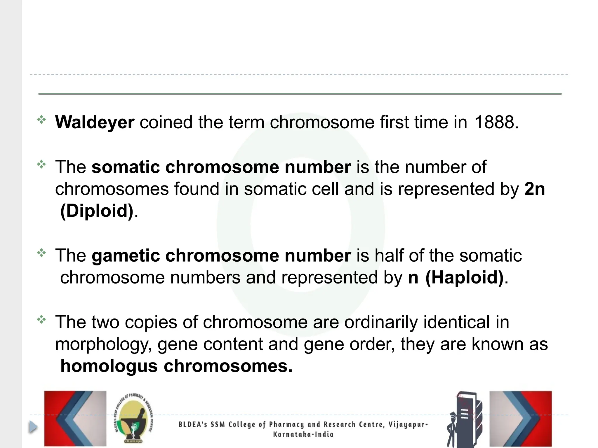  Waldeyer coined the term chromosome first time in 1888.
 The somatic chromosome number is the number of
chromosomes found in somatic cell and is represented by 2n
(Diploid).
 The gametic chromosome number is half of the somatic
chromosome numbers and represented by n (Haploid).
 The two copies of chromosome are ordinarily identical in
morphology, gene content and gene order, they are known as
homologus chromosomes.
 
