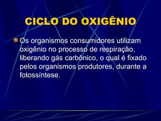 CICLO DO OXIGÊNIO Os organismos consumidores utilizam oxigênio no processo de respiração, liberando gás carbônico, o qual é fixado pelos organismos produtores, durante a fotossíntese. 