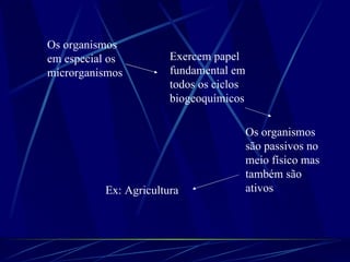 Os organismos em especial os microrganismos Exercem papel fundamental em todos os ciclos biogeoquímicos Os organismos são passivos no meio físico mas também são ativos Ex: Agricultura 