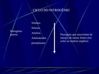 Nitrogênio gasoso Nitratos Nitritos Amônia Aminoácidos protoplasma Passagens que necessitam de energia de outras fontes (luz solar ou matéria orgânica CICLO DO NITROGÊNIO 