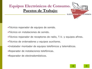 Equipos Electrónicos de Consumo.   Puestos de Trabajo: Técnico reparador de equipos de sonido.  Técnico en instalaciones de sonido.  Técnico reparador de receptores de radio, T.V. y equipos afines.  Técnico de ordenadores y equipos auxiliares.  Instalador montador de equipos telefónicos y telemáticos.  Reparador de instalaciones telefónicas.  Reparador de electrodomésticos.   