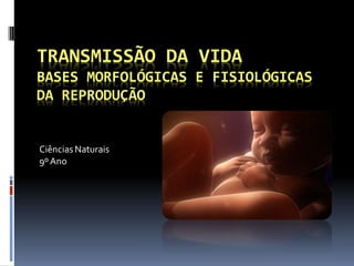 TRANSMISSÃO DA VIDA BASES MORFOLÓGICAS E FISIOLÓGICAS DA REPRODUÇÃO 
Ciências Naturais 
9º Ano  