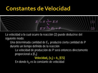 La velocidad a la cual ocurre la reacción (2) puede deducirse del
siguiente modo:
Una determinada cantidad de E1 producirá cierta cantidad de P
durante un tiempo definido de la reacción
La velocidad de producción de P será entonces directamente
proporcional a [E1]
Velocidad3 (v3) = k3 [ES]
En donde k2 es la constante de velocidad

 