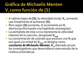 A valores bajos de [S], la velocidad inicial, Vi, aumenta
casi linealmente al aumentar [S].
 Pero según [S] aumenta, el incremento en Vi
disminuye (formando una hipérbola rectangular).
 La asímptota de esta curva representa la velocidad
máxima de la reacción, designada Vmax
 La concentración de sustrato que produce una Vi que
sea igual a la mitad de Vmax se designa como
constante de Michaelis-Menten, Km (llamada así por
los investigadores que desarrollaron este estudio de la
cinética enzimática).


 