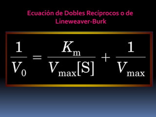 Ecuación de Dobles Recíprocos o de
Lineweaver-Burk

 