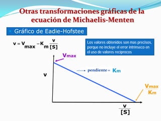 Otras transformaciones gráficas de la
ecuación de Michaelis-Menten
 Gráfico de Eadie-Hofstee
v
v=V
−K
max
m [S]

Vmax
v

Los valores obtenidos son mas precisos,
porque no incluye el error intrínseco en
el uso de valores recíprocos

pendiente
Inclinação = =-Km

Vmax
Km
v
[S]

 