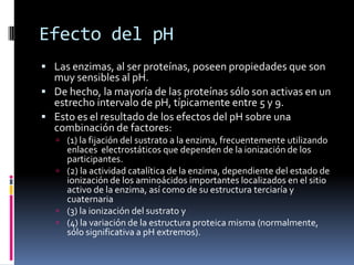 Efecto del pH
 Las enzimas, al ser proteínas, poseen propiedades que son

muy sensibles al pH.
 De hecho, la mayoría de las proteínas sólo son activas en un
estrecho intervalo de pH, típicamente entre 5 y 9.
 Esto es el resultado de los efectos del pH sobre una
combinación de factores:
 (1) la fijación del sustrato a la enzima, frecuentemente utilizando

enlaces electrostáticos que dependen de la ionización de los
participantes.
 (2) la actividad catalítica de la enzima, dependiente del estado de
ionización de los aminoácidos importantes localizados en el sitio
activo de la enzima, así como de su estructura terciaría y
cuaternaria
 (3) la ionización del sustrato y
 (4) la variación de la estructura proteica misma (normalmente,
sólo significativa a pH extremos).

 