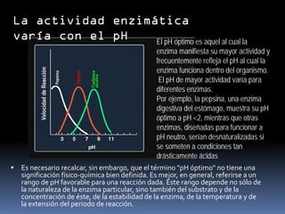 La actividad enzimática
varía con el pH
El pH óptimo es aquel al cual la

enzima manifiesta su mayor actividad y
frecuentemente refleja el pH al cual la
enzima funciona dentro del organismo.
El pH de mayor actividad varía para
diferentes enzimas.
Por ejemplo, la pepsina, una enzima
digestiva del estómago, muestra su pH
óptimo a pH <2, mientras que otras
enzimas, diseñadas para funcionar a
pH neutro, serían desnaturalizadas si
se someten a condiciones tan
drásticamente ácidas



Es necesario recalcar, sin embargo, que el término "pH óptimo" no tiene una
significación físico-química bien definida. Es mejor, en general, referirse a un
rango de pH favorable para una reacción dada. Este rango depende no sólo de
la naturaleza de la enzima particular, sino también del substrato y de la
concentración de éste, de la estabilidad de la enzima, de la temperatura y de
la extensión del periodo de reacción.

 