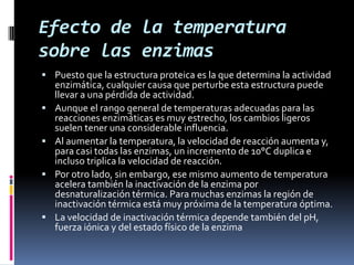 Efecto de la temperatura
sobre las enzimas
 Puesto que la estructura proteica es la que determina la actividad






enzimática, cualquier causa que perturbe esta estructura puede
llevar a una pérdida de actividad.
Aunque el rango general de temperaturas adecuadas para las
reacciones enzimáticas es muy estrecho, los cambios ligeros
suelen tener una considerable influencia.
Al aumentar la temperatura, la velocidad de reacción aumenta y,
para casi todas las enzimas, un incremento de 10°C duplica e
incluso triplica la velocidad de reacción.
Por otro lado, sin embargo, ese mismo aumento de temperatura
acelera también la inactivación de la enzima por
desnaturalización térmica. Para muchas enzimas la región de
inactivación térmica está muy próxima de la temperatura óptima.
La velocidad de inactivación térmica depende también del pH,
fuerza iónica y del estado físico de la enzima

 