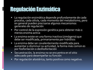 Regulación Enzimática
 La regulación enzimática depende profundamente de cada







proceso, cada célula, cada momento del metabolismo, pero
en general pueden precisarse algunos mecanismos
generales de regulación
Por control de la expresión genética para obtener más o
menos enzima activa
La enzima existe en una forma inactiva (zimógeno) que
debe ser modificada, primariamente por hidrólisis
La enzima debe ser covalentemente modificada para
aumentar o disminuir su actividad, la forma más común es
por fosforilación o desfosforilación
Secuestración, la enzima no se encuentra en el sitio
adecuado para desempeñar su función
Por regulación alostérica, tanto positiva como negativa.

 