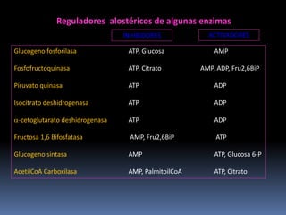 Reguladores alostéricos de algunas enzimas
INHIBIDORES

ACTIVADORES

Glucogeno fosforilasa

ATP, Glucosa

AMP

Fosfofructoquinasa

ATP, Citrato

Piruvato quinasa

ATP

ADP

Isocitrato deshidrogenasa

ATP

ADP

α-cetoglutarato deshidrogenasa

ATP

ADP

Fructosa 1,6 Bifosfatasa

AMP, Fru2,6BiP

ATP

Glucogeno sintasa

AMP

ATP, Glucosa 6-P

AcetilCoA Carboxilasa

AMP, PalmitoilCoA

ATP, Citrato

AMP, ADP, Fru2,6BiP

 