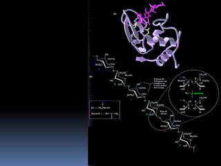 2 cineticaenzimatica