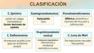 CLASIFICACIÓN
Lesión en vejiga
metaplásica.
Quiste derivado de
epitelio
C. Quística Xantogranulomatosa
Pielonefritis
Litos
Diftérica ulcerativa y
necrosis de mucosa y
submucosa
Pseudomembranosa
C. Enfisematosa
Numerosos quistes (con
gas) en la lámina
propia
Esquistosomiasis
vesical
Schistosoma haematobium
Hematuria y
esclerosis
vesical(años/tardía)
C. Luna de Miel
Por relaciones sexuales
frecuentes.
 