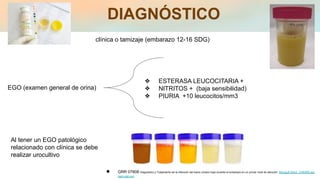 DIAGNÓSTICO
EGO (examen general de orina)
clínica o tamizaje (embarazo 12-16 SDG)
❖ ESTERASA LEUCOCITARIA +
❖ NITRITOS + (baja sensibilidad)
❖ PIURIA +10 leucocitos/mm3
Al tener un EGO patológico
relacionado con clínica se debe
realizar urocultivo
● GRR 07808 Diagnóstico y Tratamiento de la infección del tracto urinario bajo durante el embarazo en un primer nivel de atención. Microsoft Word - 078GRR.doc
(ssm.gob.mx)
 