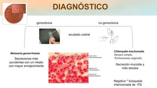 DIAGNÓSTICO
gonocócica no gonocócica
exudado uretral
Neisseria gonorrhoeae
Chlamydia trachomatis
Herpes simple.
Trichomonas vaginalis
Secreciones más
purulentas con un meato
con mayor enrojecimiento
Secreción mucoide y
más escasa
Negativo * búsqueda
intencionada de ITS
 