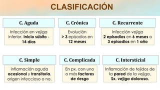 CLASIFICACIÓN
Infección en vejiga
inferior. Inicio súbito -
14 días
C. Aguda C. Crónica
Evolución
> 3 episodios en
12 meses
Infección vejiga
2 episodios en 6 meses o
3 episodios en 1 año
C. Recurrente
C. Simple
inflamación aguda
ocasional y transitoria,
origen infeccioso o no.
C. Complicada
En px. con uno
o más factores
de riesgo
C. Intersticial
Inflamación de tejidos de
la pared de la vejiga.
Sx. vejiga dolorosa.
 
