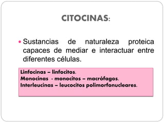 CITOCINAS:
 Sustancias de naturaleza proteica
capaces de mediar e interactuar entre
diferentes células.
Linfocinas – linfocitos.
Monocinas - monocitos – macrófagos.
Interleucinas – leucocitos polimorfonucleares.
 
