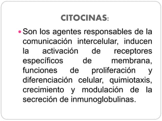 CITOCINAS:
 Son los agentes responsables de la
comunicación intercelular, inducen
la activación de receptores
específicos de membrana,
funciones de proliferación y
diferenciación celular, quimiotaxis,
crecimiento y modulación de la
secreción de inmunoglobulinas.
 