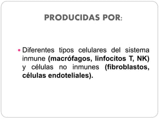 PRODUCIDAS POR:
 Diferentes tipos celulares del sistema
inmune (macrófagos, linfocitos T, NK)
y células no inmunes (fibroblastos,
células endoteliales).
 