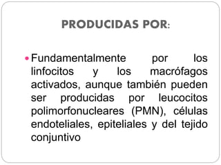 PRODUCIDAS POR:
 Fundamentalmente por los
linfocitos y los macrófagos
activados, aunque también pueden
ser producidas por leucocitos
polimorfonucleares (PMN), células
endoteliales, epiteliales y del tejido
conjuntivo
 