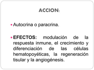 ACCION:
 Autocrina o paracrina.
 EFECTOS: modulación de la
respuesta inmune, el crecimiento y
diferenciación de las células
hematopoyéticas, la regeneración
tisular y la angiogénesis.
 