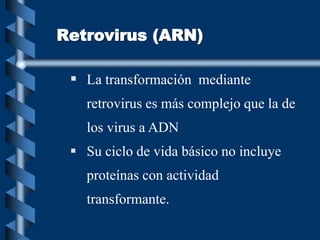 Retrovirus (ARN)
 La transformación mediante
retrovirus es más complejo que la de
los virus a ADN
 Su ciclo de vida básico no incluye
proteínas con actividad
transformante.
 
