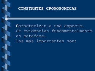 Caracterizan a una especie.
Se evidencian fundamentalmente
en metafase.
Las más importantes son:
CONSTANTES CROMOSOMICAS
 