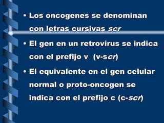 • Los oncogenes se denominan
con letras cursivas scr
• El gen en un retrovirus se indica
con el prefijo v (v-scr)
• El equivalente en el gen celular
normal o proto-oncogen se
indica con el prefijo c (c-scr)
 