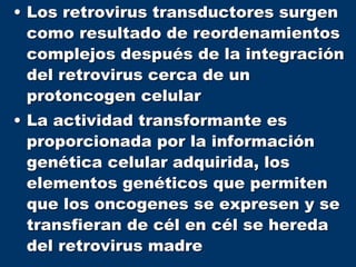 • Los retrovirus transductores surgen
como resultado de reordenamientos
complejos después de la integración
del retrovirus cerca de un
protoncogen celular
• La actividad transformante es
proporcionada por la información
genética celular adquirida, los
elementos genéticos que permiten
que los oncogenes se expresen y se
transfieran de cél en cél se hereda
del retrovirus madre
 