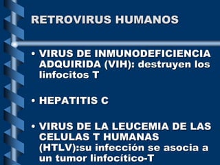 RETROVIRUS HUMANOS
• VIRUS DE INMUNODEFICIENCIA
ADQUIRIDA (VIH): destruyen los
linfocitos T
• HEPATITIS C
• VIRUS DE LA LEUCEMIA DE LAS
CELULAS T HUMANAS
(HTLV):su infección se asocia a
un tumor linfocítico-T
 