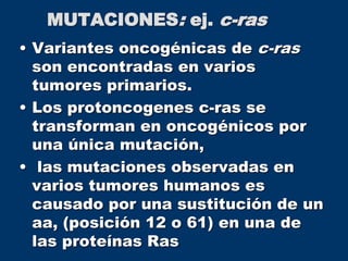 MUTACIONES: ej. c-ras
• Variantes oncogénicas de c-ras
son encontradas en varios
tumores primarios.
• Los protoncogenes c-ras se
transforman en oncogénicos por
una única mutación,
• las mutaciones observadas en
varios tumores humanos es
causado por una sustitución de un
aa, (posición 12 o 61) en una de
las proteínas Ras
 