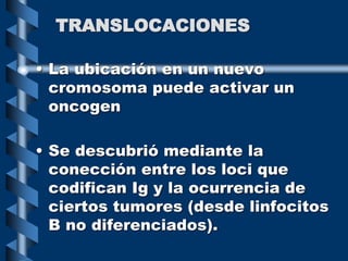 TRANSLOCACIONES
• La ubicación en un nuevo
cromosoma puede activar un
oncogen
• Se descubrió mediante la
conección entre los loci que
codifican Ig y la ocurrencia de
ciertos tumores (desde linfocitos
B no diferenciados).
 