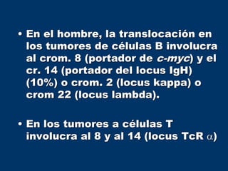 • En el hombre, la translocación en
los tumores de células B involucra
al crom. 8 (portador de c-myc) y el
cr. 14 (portador del locus IgH)
(10%) o crom. 2 (locus kappa) o
crom 22 (locus lambda).
• En los tumores a células T
involucra al 8 y al 14 (locus TcR a)
 