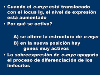 • Cuando el c-myc está translocado
con el locus Ig, el nivel de expresión
está aumentado
• Por qué se activa?
A) se altere la estructura de c-myc
B) en la nueva posición hay
genes muy activos
• La sobreexpresión de c-myc apagaría
el proceso de diferenciación de los
linfocitos
 