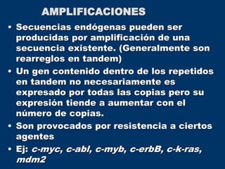 AMPLIFICACIONES
• Secuencias endógenas pueden ser
producidas por amplificación de una
secuencia existente. (Generalmente son
rearreglos en tandem)
• Un gen contenido dentro de los repetidos
en tandem no necesariamente es
expresado por todas las copias pero su
expresión tiende a aumentar con el
número de copias.
• Son provocados por resistencia a ciertos
agentes
• Ej: c-myc, c-abl, c-myb, c-erbB, c-k-ras,
mdm2
 