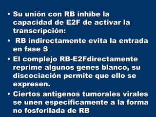 • Su unión con RB inhibe la
capacidad de E2F de activar la
transcripción:
• RB indirectamente evita la entrada
en fase S
• El complejo RB-E2Fdirectamente
reprime algunos genes blanco, su
discociación permite que ello se
expresen.
• Ciertos antigenos tumorales virales
se unen especificamente a la forma
no fosforilada de RB
 