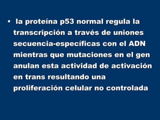 • la proteína p53 normal regula la
transcripción a través de uniones
secuencia-específicas con el ADN
mientras que mutaciones en el gen
anulan esta actividad de activación
en trans resultando una
proliferación celular no controlada
 
