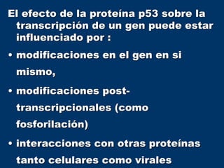 El efecto de la proteína p53 sobre la
transcripción de un gen puede estar
influenciado por :
• modificaciones en el gen en si
mismo,
• modificaciones post-
transcripcionales (como
fosforilación)
• interacciones con otras proteínas
tanto celulares como virales
 