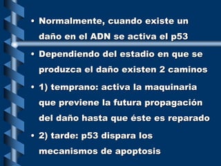 • Normalmente, cuando existe un
daño en el ADN se activa el p53
• Dependiendo del estadio en que se
produzca el daño existen 2 caminos
• 1) temprano: activa la maquinaria
que previene la futura propagación
del daño hasta que éste es reparado
• 2) tarde: p53 dispara los
mecanismos de apoptosis
 