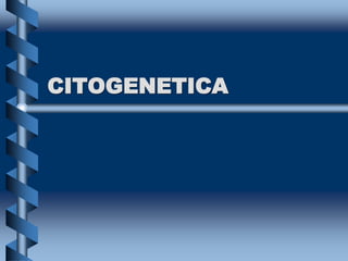CITOGENETICA
 