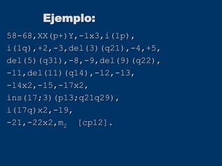 Ejemplo:
58-68,XX(p+)Y,-1x3,i(1p),
i(1q),+2,-3,del(3)(q21),-4,+5,
del(5)(q31),-8,-9,del(9)(q22),
-11,del(11)(q14),-12,-13,
-14x2,-15,-17x2,
ins(17;3)(p13;q21q29),
i(17q)x2,-19,
-21,-22x2,m2 [cp12].
 