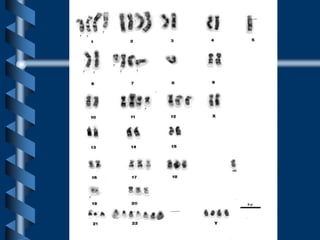 2) CITOGENETICA2009.ppt