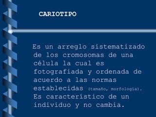 Es un arreglo sistematizado
de los cromosomas de una
célula la cual es
fotografiada y ordenada de
acuerdo a las normas
establecidas (tamaño, morfología).
Es característico de un
individuo y no cambia.
CARIOTIPO
 
