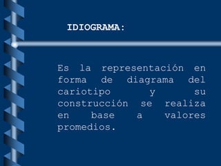 Es la representación en
forma de diagrama del
cariotipo y su
construcción se realiza
en base a valores
promedios.
IDIOGRAMA:
 