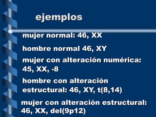 ejemplos
mujer normal: 46, XX
hombre normal 46, XY
mujer con alteración numérica:
45, XX, -8
hombre con alteración
estructural: 46, XY, t(8,14)
mujer con alteración estructural:
46, XX, del(9p12)
 