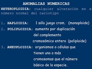 HETEROPLOIDIA: cualquier alteración en el
número normal del cariotipo
1. HAPLOIDIA: 1 sólo juego crom. (monoploide)
2. POLIPLOIDIA: aumento por duplicación
del complemento
cromosómico entero (poliploide)
3. ANEUPLOIDIA: organismos o células que
tienen uno o más
cromosomas que el número
básico de la especie.
ANOMALIAS NUMERICAS
 