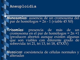 Aneuploidía
Monosomías: ausencia de un cromosoma del
par de homólogos = 2n - 1 (viable 45 X0)
Trisomías: presencia de más de un
cromosoma en el par de homólogos = 2n +1
(producen abortos aunque existen algunas
que son viables con diferente grado de
sobrevida: tri 21, tri 13, tri 18, 47XXY)
Mosaicos: coexistencia de células normales y
alteradas
 